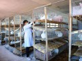农村养殖业什么较赚钱？抓住个项目就别放弃！