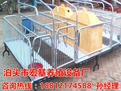 四川母猪产床专业生产厂家 猪用分娩栏批发供应 猪产床厂家直销宏基