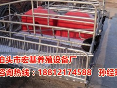 猪舍常用的母猪产床多少钱一套  猪用双体猪产床批发 猪产床厂家直销