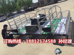 养猪设备低价出售 母猪产床价格 猪用产仔栏厂家直销