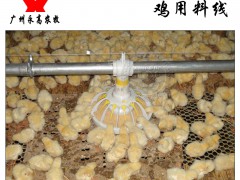 鸡用料线 家禽自动化喂料系统 永高农牧