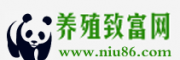 中国养殖致富网